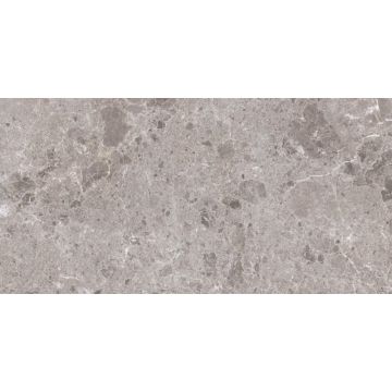 Płytka gresowa szara 59x119 Grespania Artic Gris Poler