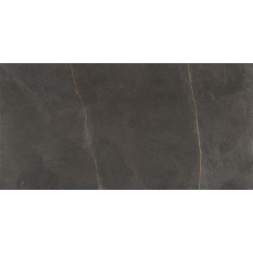 Płytki gresowe 60x120 Argenta Emerita Dark 1,44m2