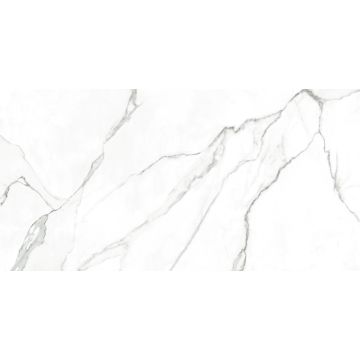 Płytka gresowa Ecoceramic Lignoir Bianco Brillo 60X120 2SZT/ 1,44m2