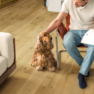 Panele podłogowe Quick Step Dąb truflowy IM8256 8 mm V-fuga