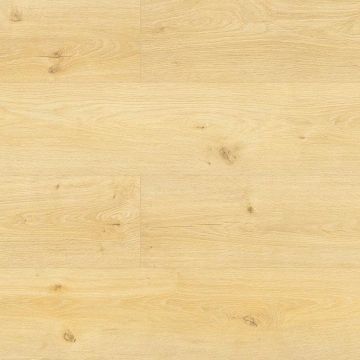 Panele podłogowe Persecto Dąb Violetta 4589 AC6 10 mm V-fuga