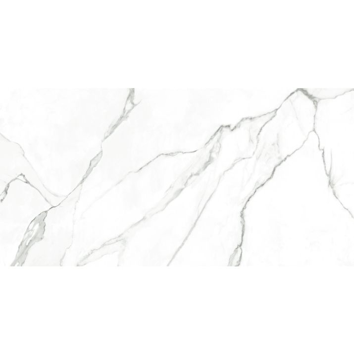 Płytka gresowa Ecoceramic Saigon White 60X120 1,44 / 2szt Płytka gresowa Ecoceramic Saigon White 60X120 1,44 / 2szt