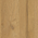 Dąb Natur